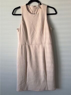 Sleeveless Sheath Dress in Light Blush